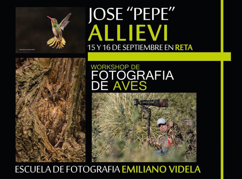 Fotografía de aves: taller de José García Allievi